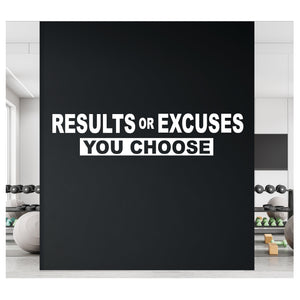 Results or Excuses - You Choose