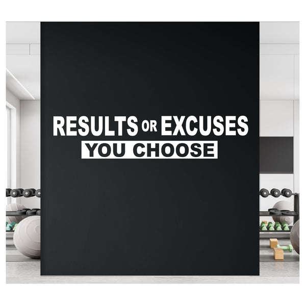 Results or Excuses - You Choose