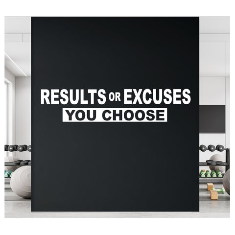 Results or Excuses - You Choose